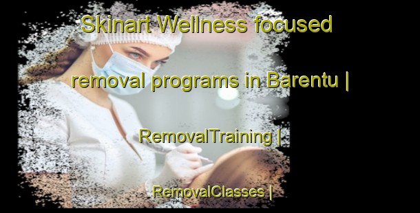 Skinart Wellness-focused removal programs in Barentu | RemovalTraining | RemovalClasses | SkinartTraining-Eritrea